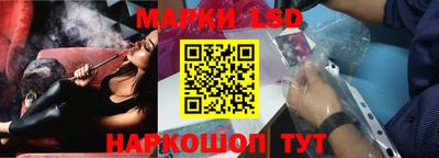 индика Можга