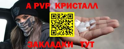 индика Можга