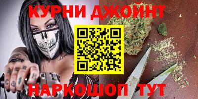 индика Можга