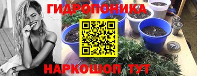 индика Можга