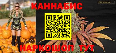 индика Можга