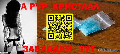 прущие грибы Можайск