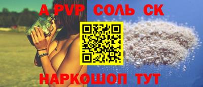 индика Можга